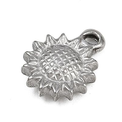 304 Stainless Steel Charms STAS-G363-12P-1