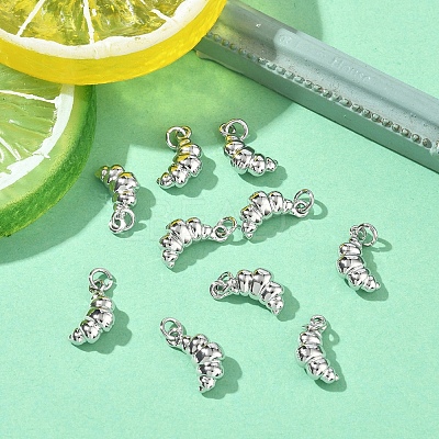 SHEGRACE Brass Charms XGRQ3D570-473P-1