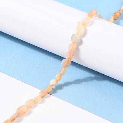 Natural Sunstone Beads Strands G-G018-18B-1