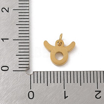 304 Stainless Steel Charms LS-STAS-R001-04G-02-1