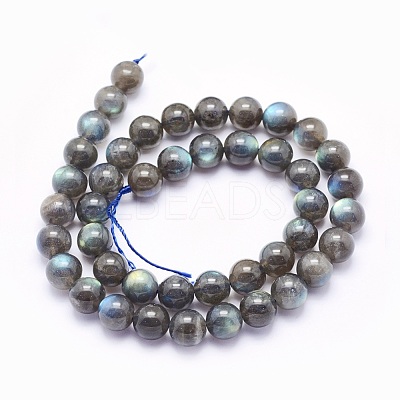 Natural Labradorite Beads Strands G-O166-08-10mm-1