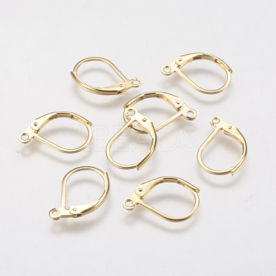304 Stainless Steel Leverback Earring Findings STAS-F141-03G-1