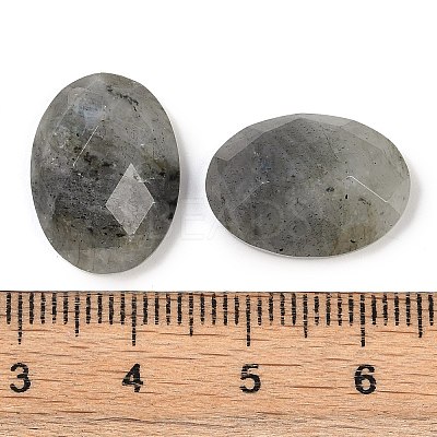 Natural Labradorite Cabochons G-G760-A15-1