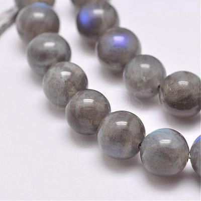 Natural Labradorite Beads Strands G-D864-11-6mm-1