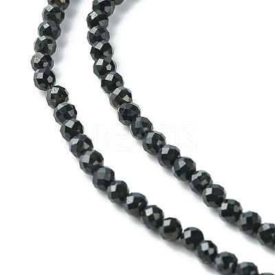 Natural Black Tourmaline Beads Strands LS-G-F748-Y01-02-1