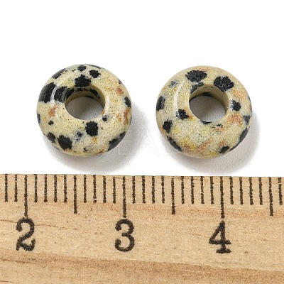 Natural Dalmatian Jasper Beads X-G-Q173-03A-24-1