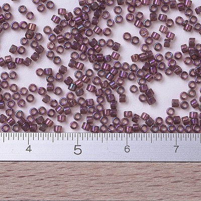 MIYUKI Delica Beads X-SEED-J020-DB0104-1