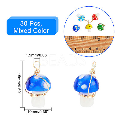30Pcs Handmade Lampwork Charms FIND-PH0007-96-1
