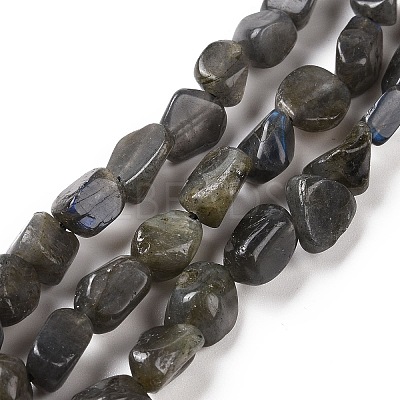 Natural Larvikite Beads Strands G-A208-08-1