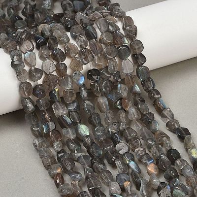 Natural Labradorite Beads Strands G-Q060-E20-01-1