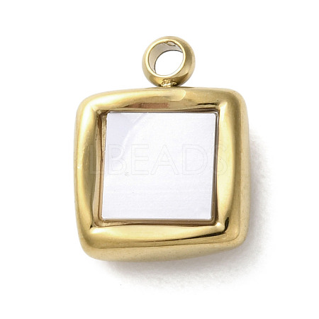 304 Stainless Steel Acrylic Pendants STAS-M091-02D-G-1