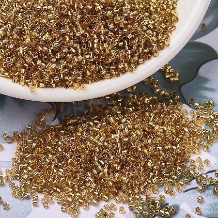 MIYUKI Delica Beads X-SEED-J020-DB2525-1