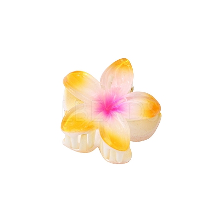 Plastic Claw Hair Clips LS-PW-WG07B2B-10-1
