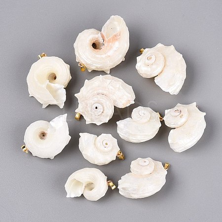 Iron & Natural Spiral Shell Pendants SHEL-Q029-15KCG-1