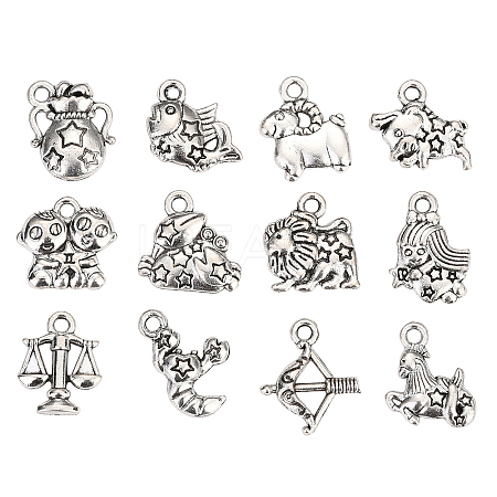 Zinc Alloy Charms PALLOY-CJ0001-100-1