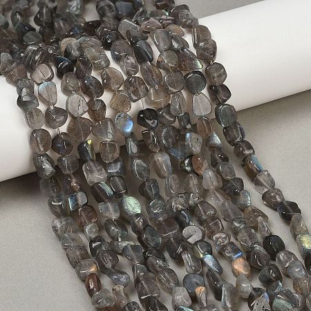 Natural Labradorite Beads Strands G-Q060-E20-01-1