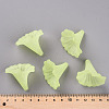 Transparent Acrylic Beads BSF796-C17-6