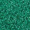 MIYUKI Round Rocailles Beads X-SEED-G009-RR0572-3