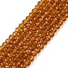 Glass Beads Strands EGLA-A044-T2mm-D04-1