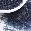 MIYUKI Round Rocailles Beads X-SEED-G009-RR2411-1