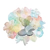 Transparent Acrylic Beads OACR-H039-04H-1