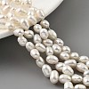 Natural Cultured Freshwater Pearl Beads Strands PEAR-A006-22-1