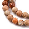 Dyed Natural Regalite/Imperial Jasper/Sea Sediment Jasper Beads Strands G-B124-C02-10-4