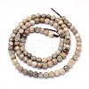 Natural Fossil Coral Round Bead Strands G-O094-08-4mm-3