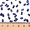 Picasso Spray Painted Glass Seed Beads SEED-T006-04-8-4