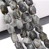 Natural Labradorite Beads Strands G-Q608-11E-1