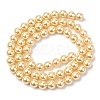 Electroplated Shell Pearl Beads Strands BSHE-G041-6mm-01-2