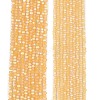 Transparent Glass Beads Strands EGLA-A044-T2mm-MB03-2