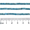 Natural Apatite Beads Strands X-G-Z057-B02-02-4