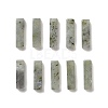 Natural Labradorite Pendants G-L593-01C-1