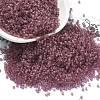 Frosted Colours Glass Seed Beads SEED-H003-06A-1