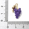 Fruit Theme Alloy Enamel Pendants LS-PALLOY-P314-01B-G-3
