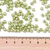 6/0 Glass Seed Beads SEED-A017-4mm-1112-3