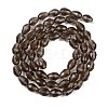 Transparent Glass Beads Strands LS-EGLA-N013-T6mm-D27-2