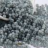 Glass Seed Beads SEED-M011-02A-09-1