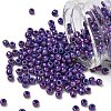 TOHO 6/0 Round Beads X-SEED-TR06-0461-1