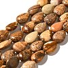 Natural Picture Jasper Beads Strands G-I377-A17-2