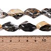 Handmade Lampwork Beads Strands LA-N046-02L-4