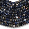 Natural Sodalite Beads Strands G-Z111-A20-4
