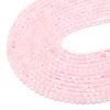 Natural Rose Quartz Beads Strands G-A260-A06-01-3