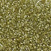 MIYUKI Delica Beads SEED-MY11-DB0124-3