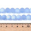 Frosted Transparent Glass Beads Strands GLAA-T032-T10mm-MBB04-4