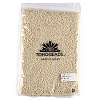 TOHO 11/0 Round Beads SEED-TR11-0123-5