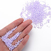13/0 Glass Seed Beads SEED-T005-14A-A11-5