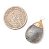 Natural Labradorite Pendants PALLOY-JF05086-02-2
