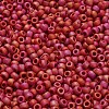 TOHO 6/0 Round Beads SEED-TR06-0768-4